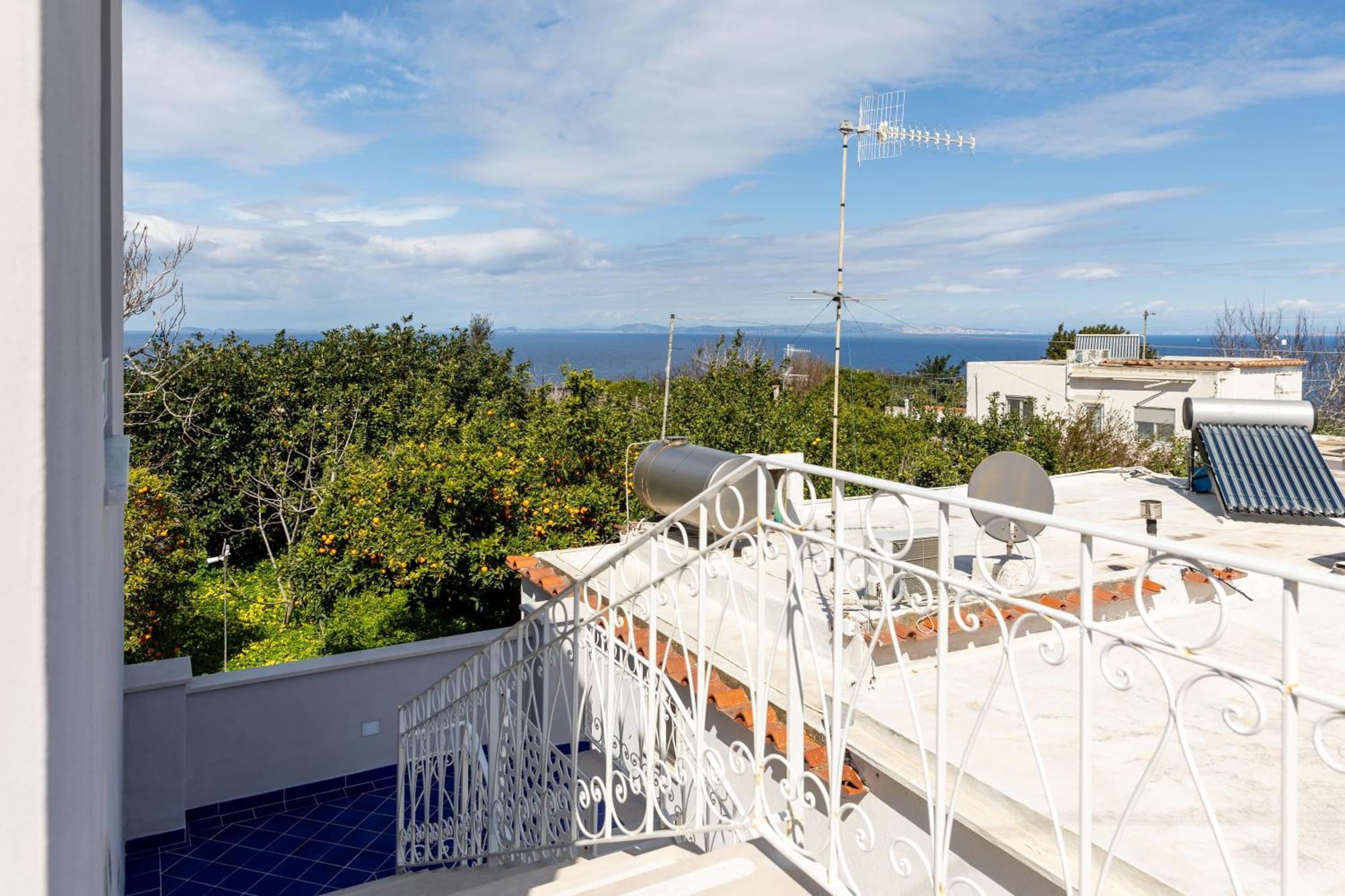 Appartement Maison Blue *